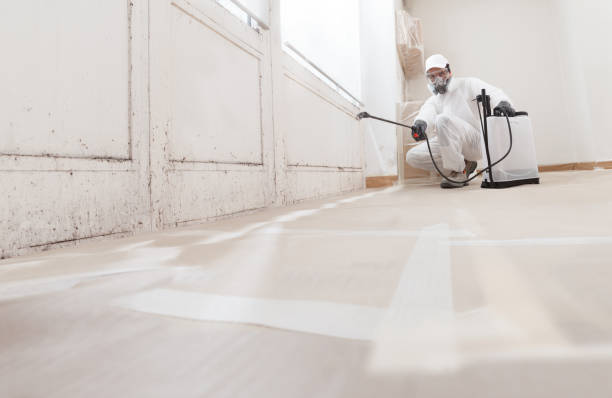 24/7 Emergency Mold Removal experts in Salem, NC